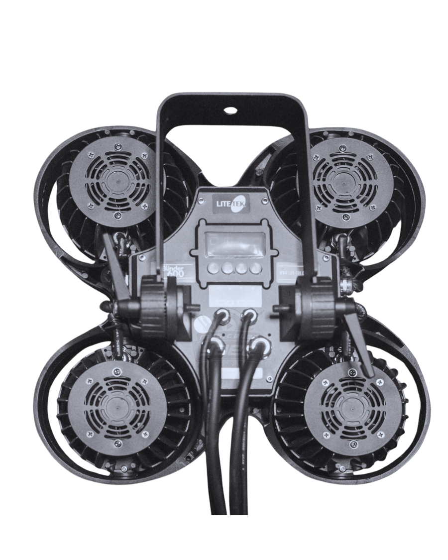 G-CLAMP