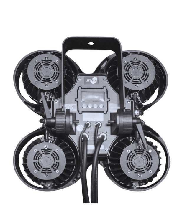 G-CLAMP